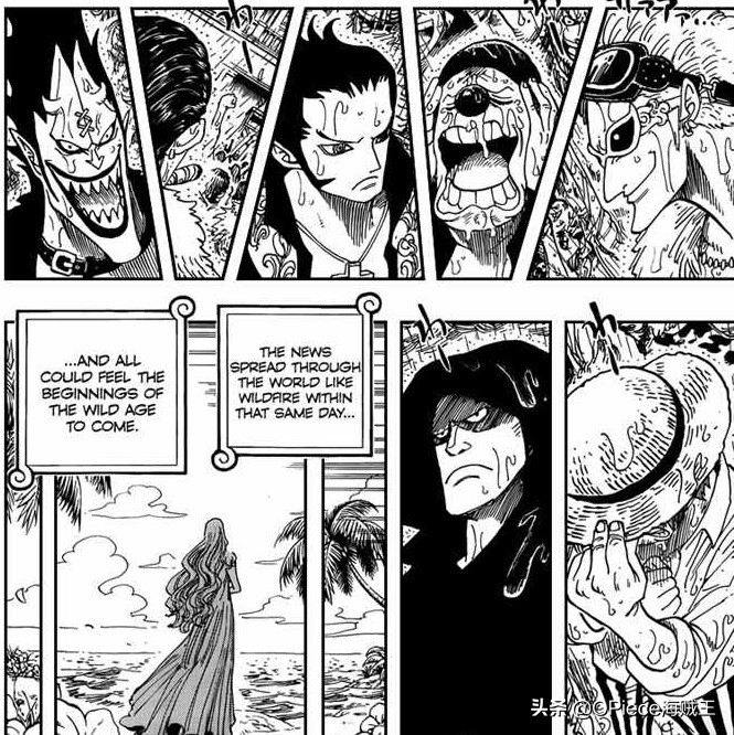 海贼王中龙和罗杰是什么关系,海贼王罗杰与龙什么关系