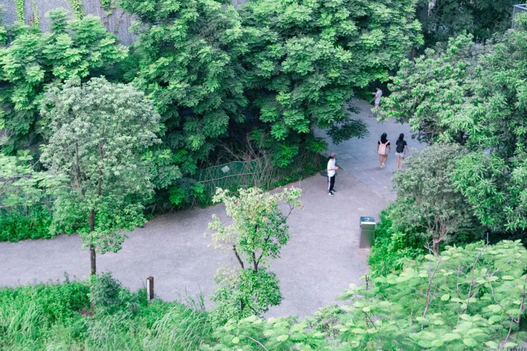 深圳风景最好的岛,深圳有个什么旅游岛