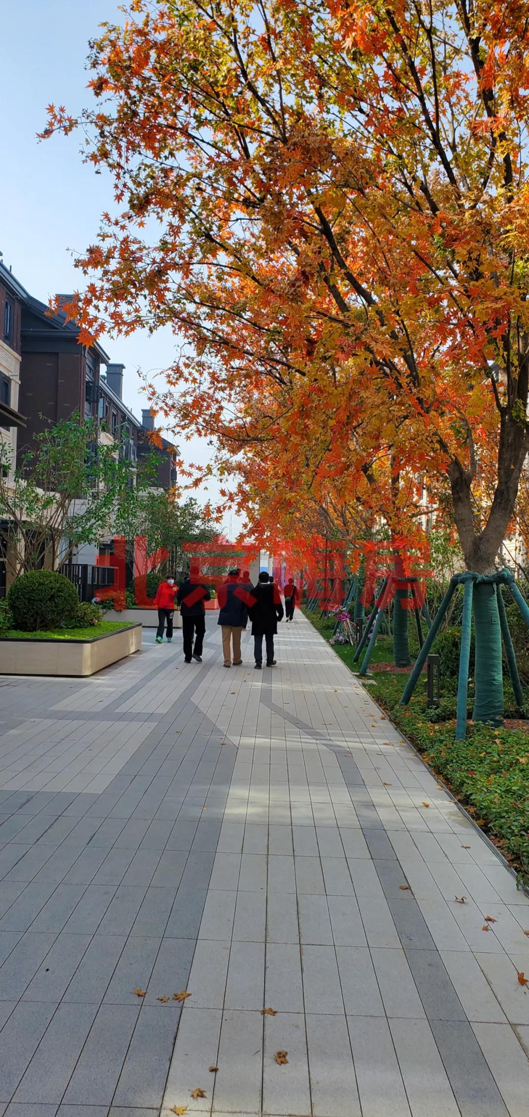 北京中海望京府交房视频,北京中海望京府业主论坛