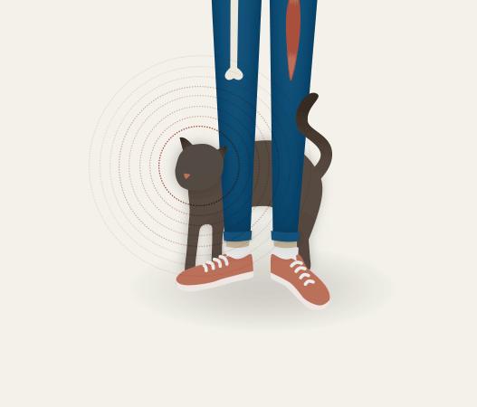 猫为什么会打呼噜？而且人类听了还特别爽？抖m吗？