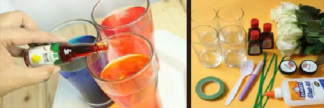 有颜色的玫瑰是怎么做出来的,白玫瑰怎么做七彩玫瑰