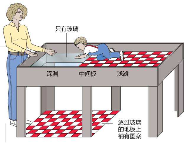 学习压力太大,13岁女孩头发*光脱**:父母应该怎么帮孩子减压?