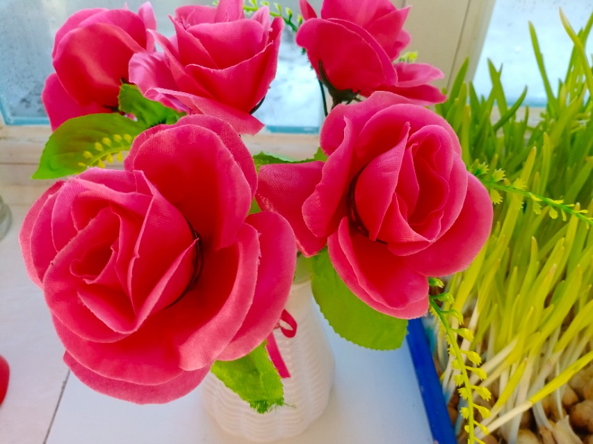 冠状病毒的解决方法,新冠病毒来了的正确措施是什么