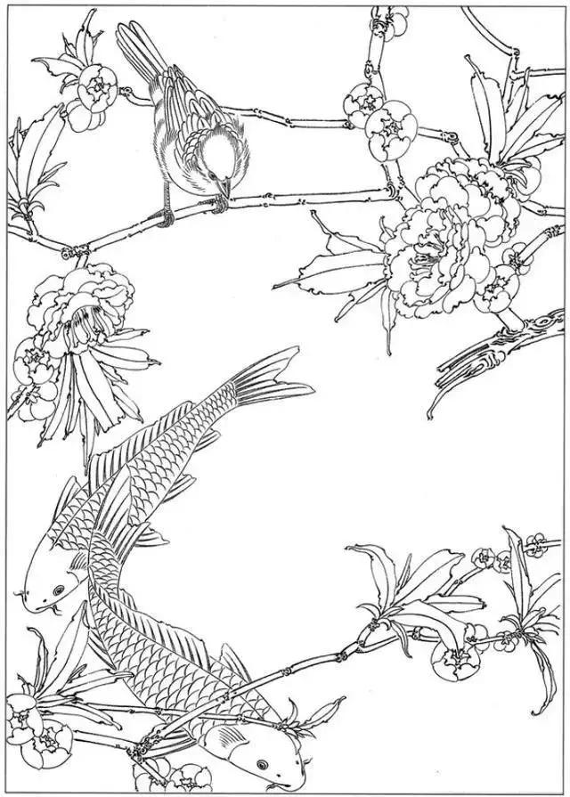 简单易画的工笔画线稿,各种鱼类工笔画图片