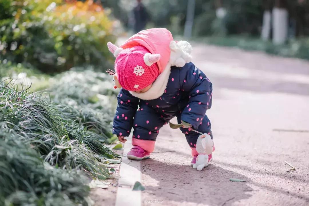 宝宝老捡乱七八糟的东西吃怎么办,宝宝总喜欢捡地上脏东西怎么办