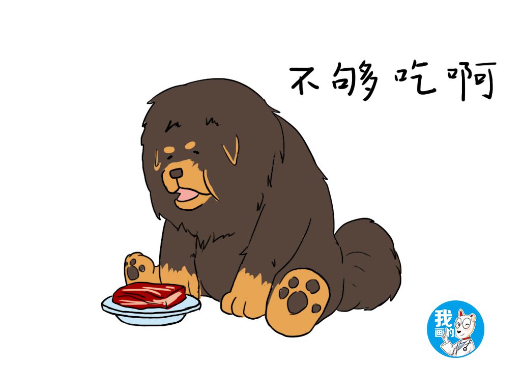 关于藏獒的一些基础知识,藏獒为什么从小就凶