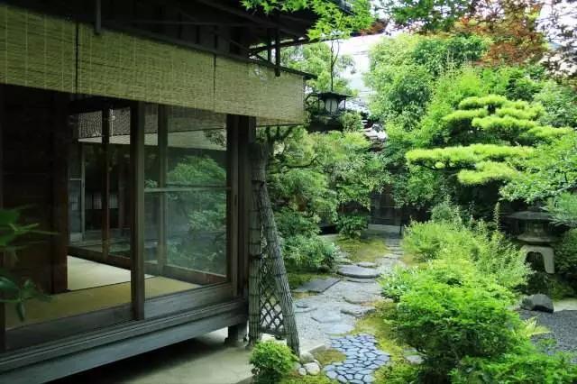 鑼舵梾璺嚎鏀荤暐,鑼舵梾璺嚎鎺ㄨ崘