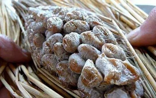 吃过大鱼大肉，独爱丰县老家的“咸豆子”