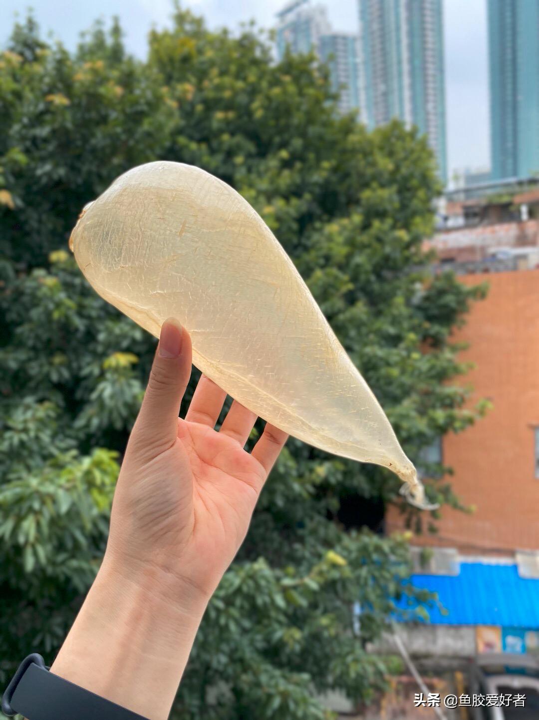 白花胶贵不贵,白花胶里性价比最高的