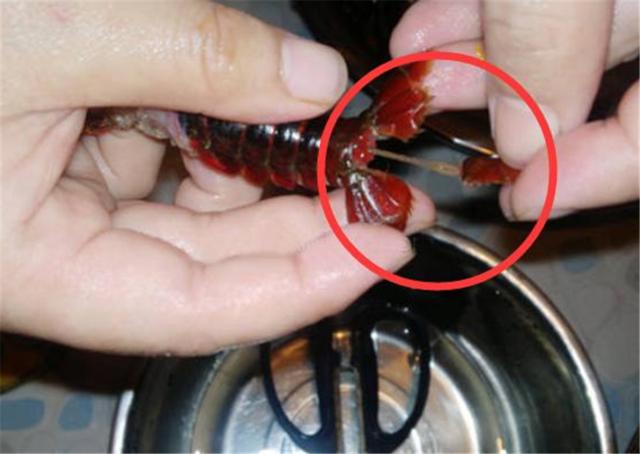 如何刷洗小龙虾不夹手,小龙虾不拿刷子刷行吗