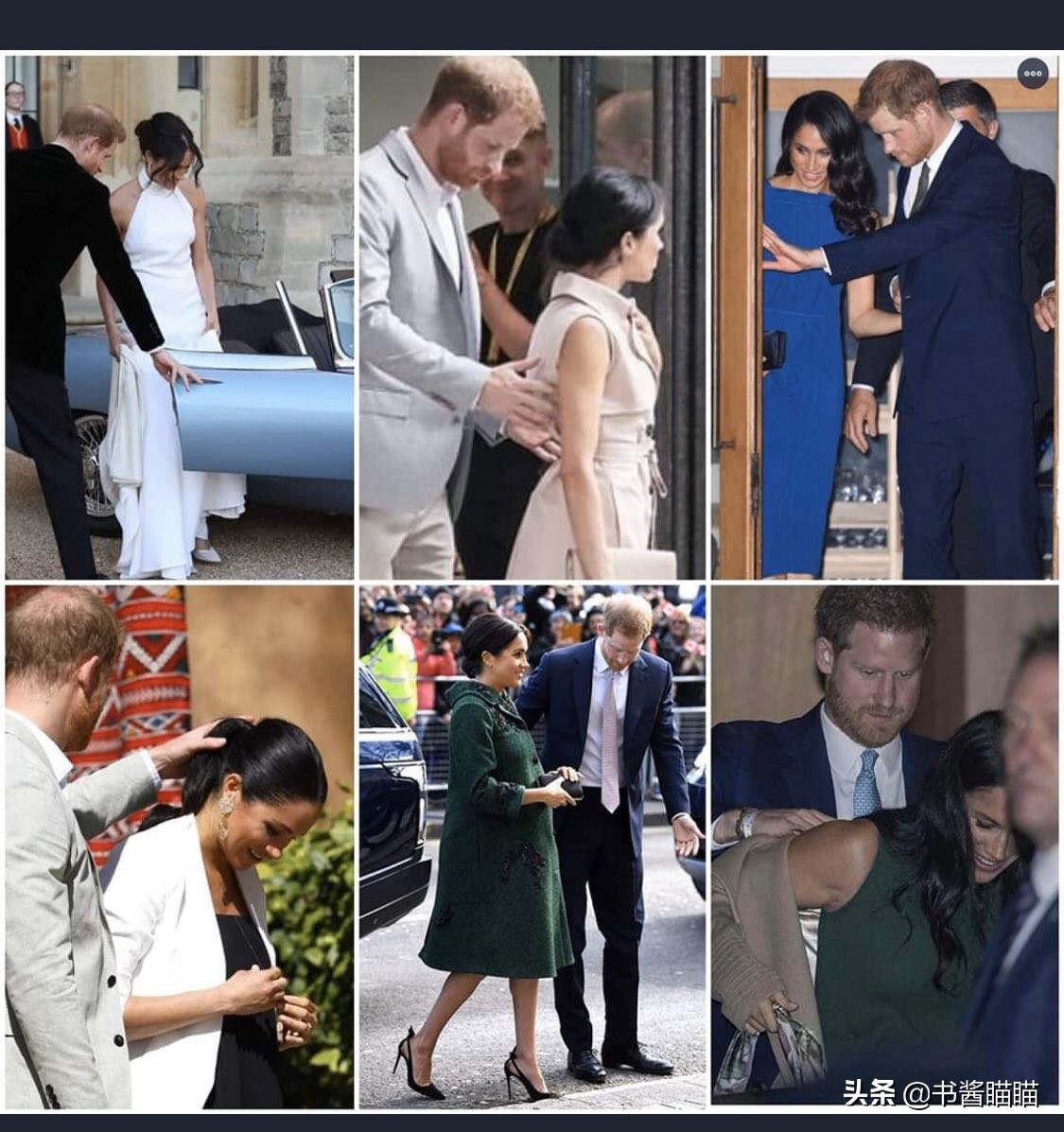 阿奇小时候就被主人抛弃,阿奇小时候生气