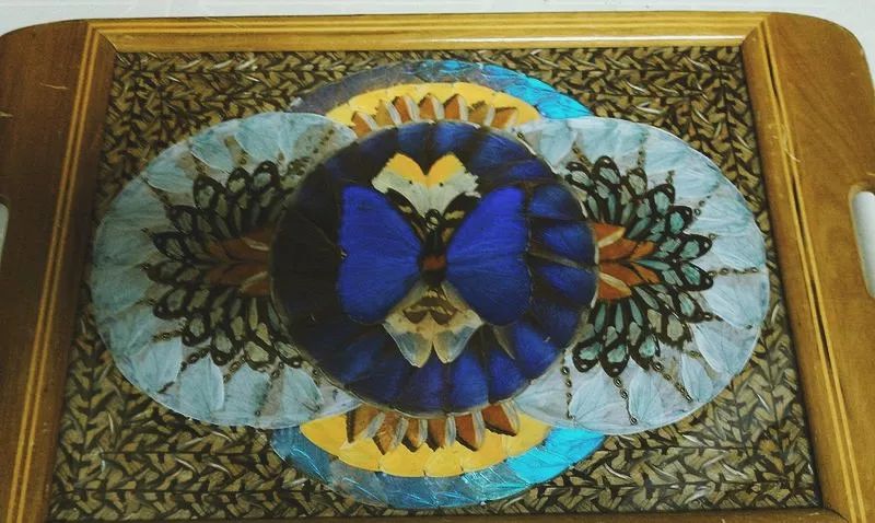 话题|一起化蝶的爱情是没有了,但你还能搞到这些