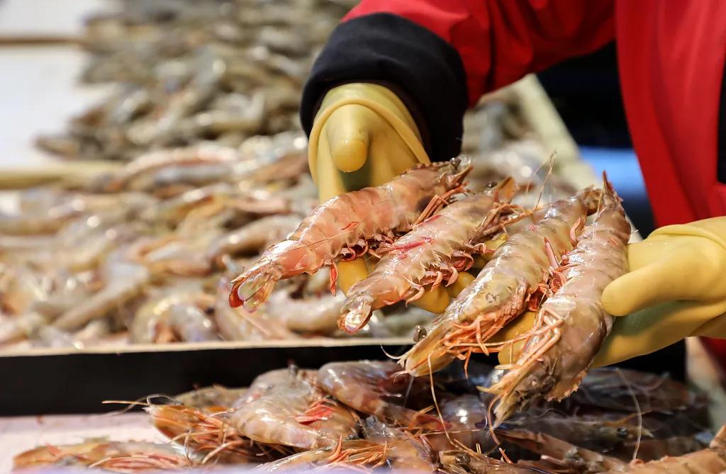 这就是天津完整视频,这就是天津南开