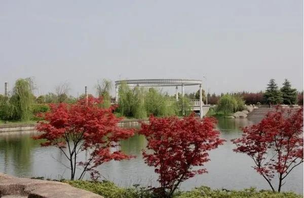 安徽师范大学搬到合肥哪里了,安徽师范大学搬到合肥吗