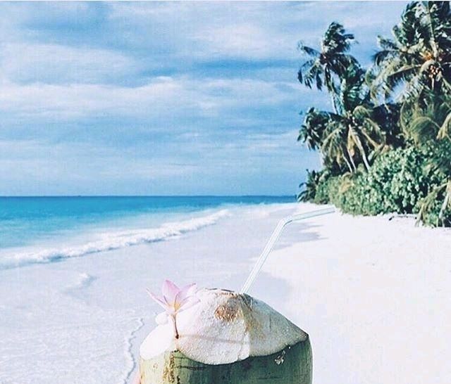 励志说明你还不够努力,励志努力不需要理由