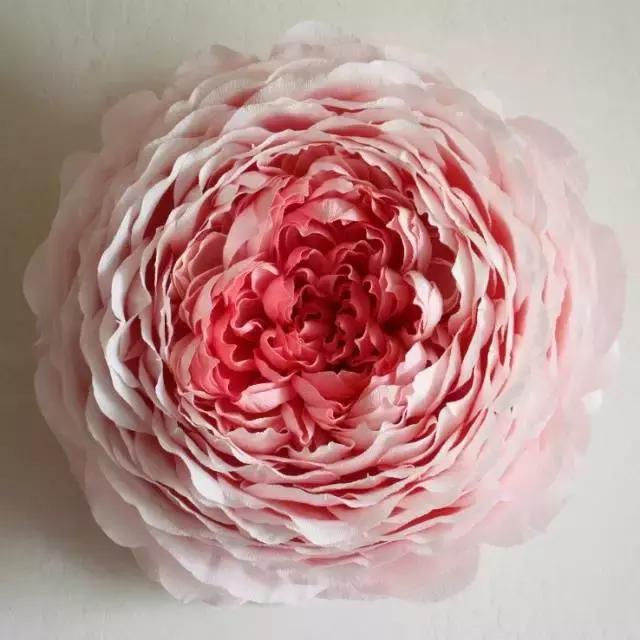 纸折立体水仙花,怎么用纸折出水仙花简单版