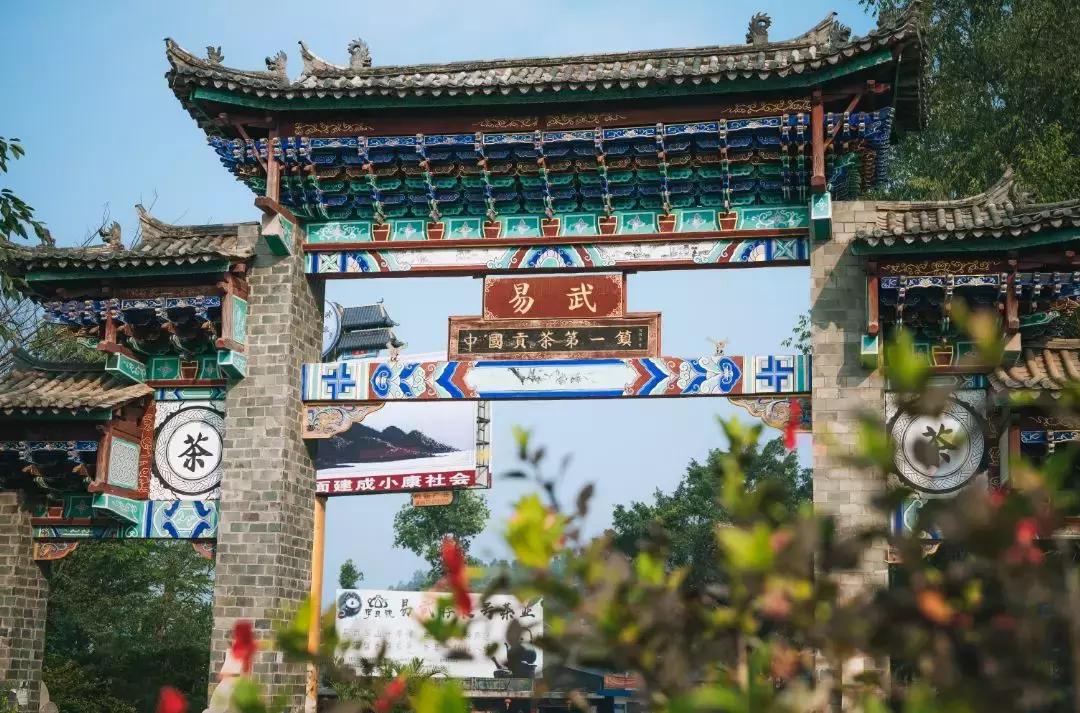 上瘾300年,上瘾茶饮