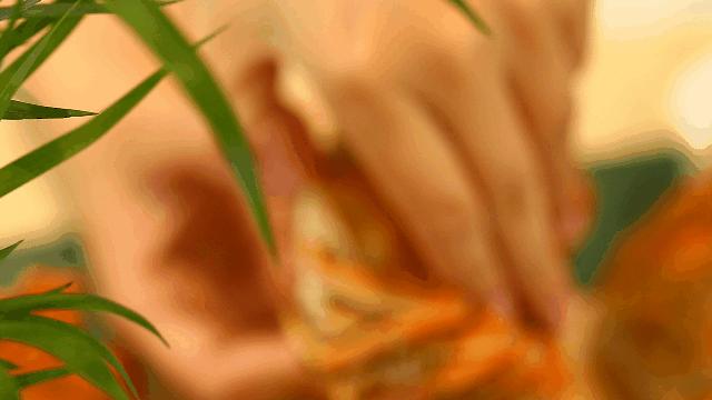 吃阳澄湖大闸蟹地方,吃阳澄湖大闸蟹的最佳地方在哪