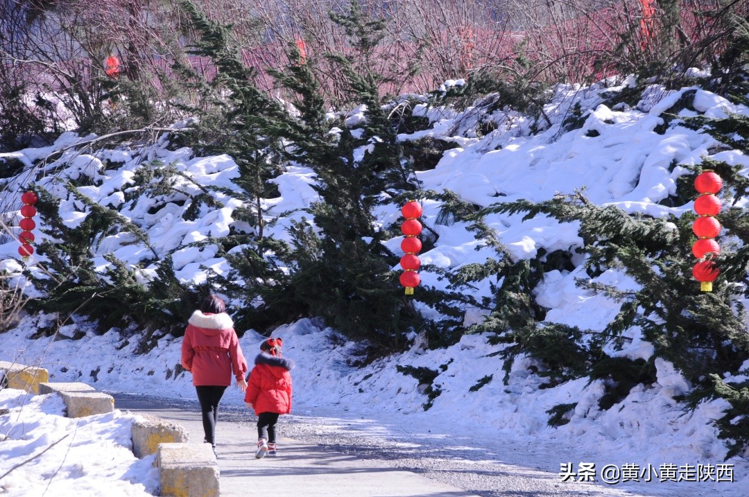 翠华山嬉雪场门票团购,翠华山滑雪场自由行热门攻略