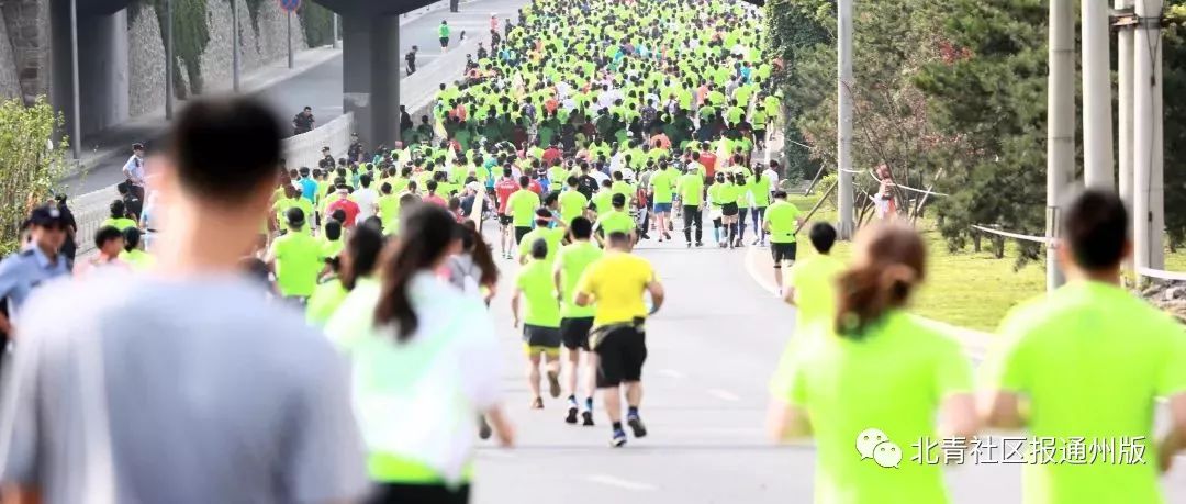 今年通州半马时间表,2024定州半马鸣枪开跑