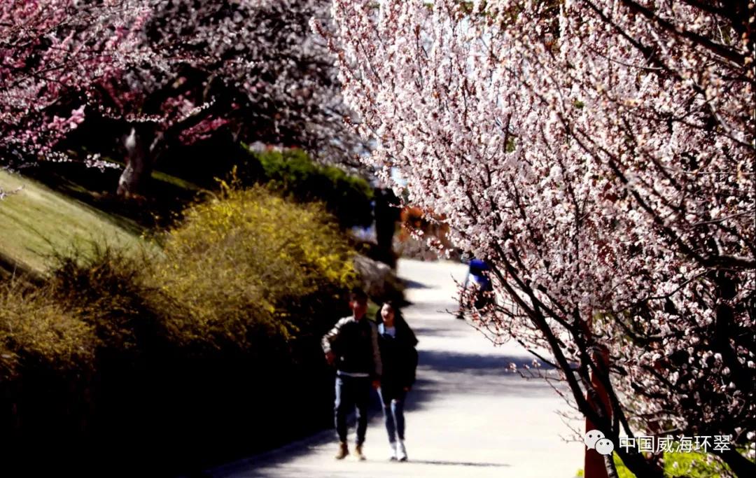 走进春天的环翠公园,环翠景色