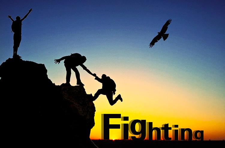 择良木而栖的上句,择良木而栖上一句话