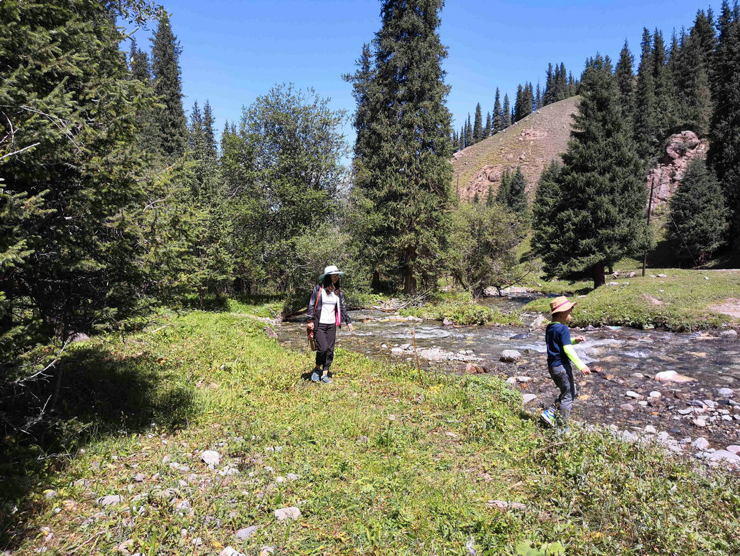 *疆新**蒙古包旅店老板,看他一天的收入多少,一个月就抵我一年工资
