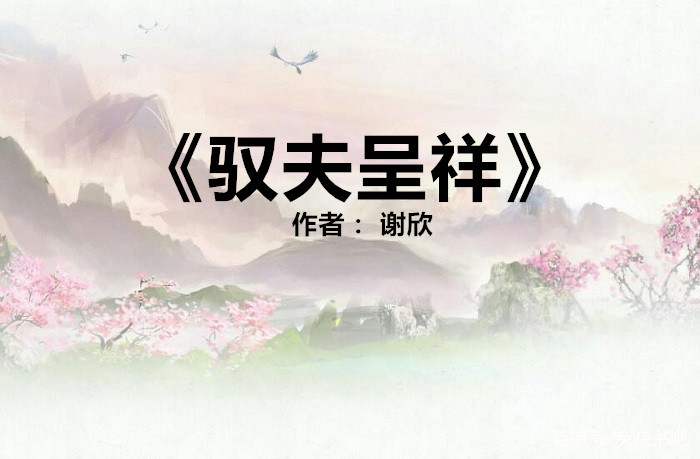 古言文笔超好的女扮男装古言,强推5本古言宫斗