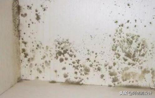 家里墙面总是发霉掉皮,家里墙面发潮发霉怎么办