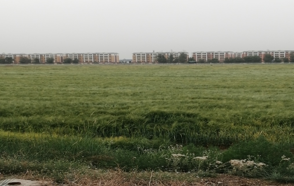 要养成善于动脑的习惯,要学会持之以恒