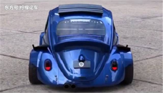 战斗款甲壳虫,甲壳虫战斗甲壳虫