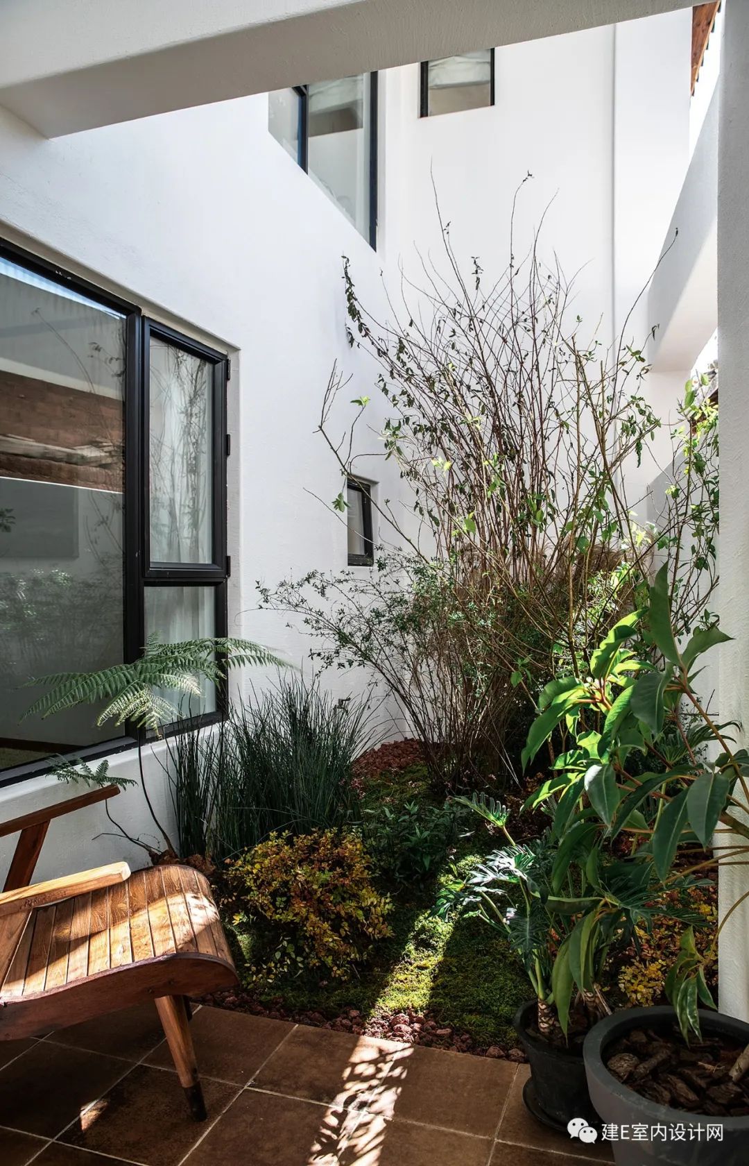 乘风破浪谢柯,谢柯个人简历