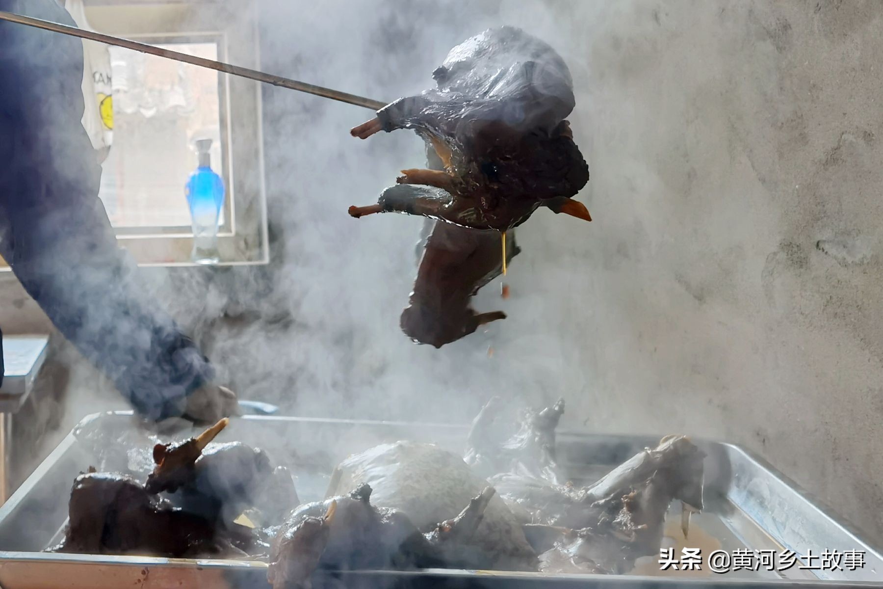 打工不如自己干,山西农民娃在野地养“野兔”,年赚10万元