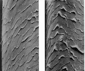 自然卷37分发型怎么打理,自然卷教程简单易上手