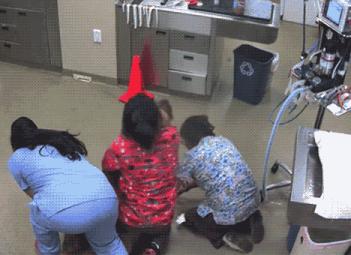 疫情期间毛孩子怎么处理,疫情原因耽误孩子治疗