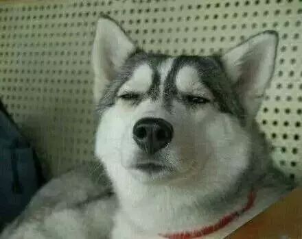 单身汪过年指南,单身狗不容错过的冷知识