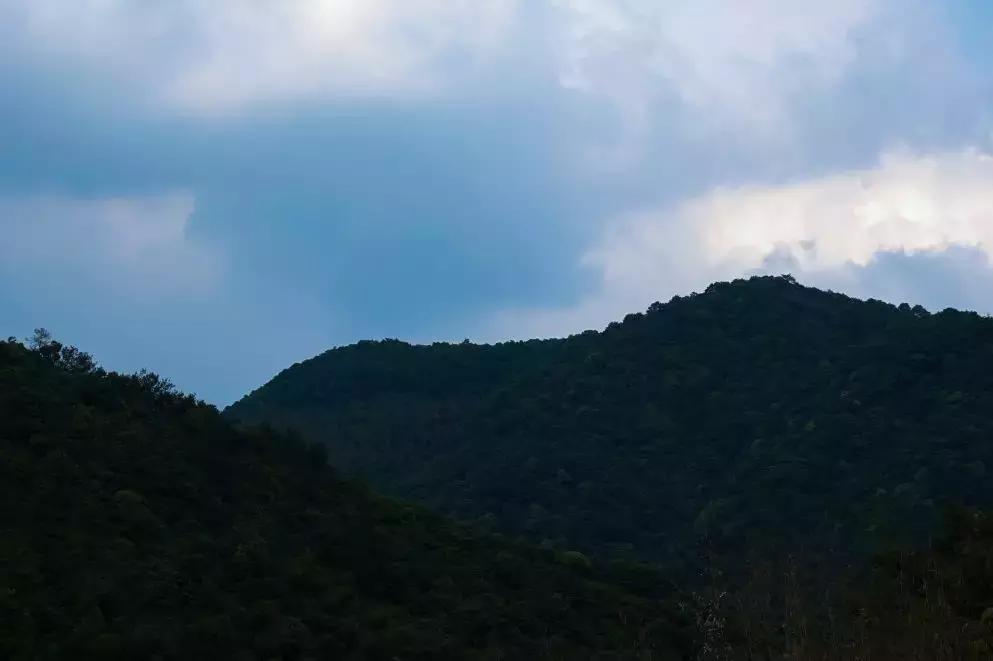 宁海安岚度假酒店,宁海安岚最美的酒店