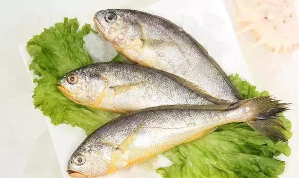 秦皇岛海鲜有哪几种比较好,这时的秦皇岛有哪些海鲜正当季