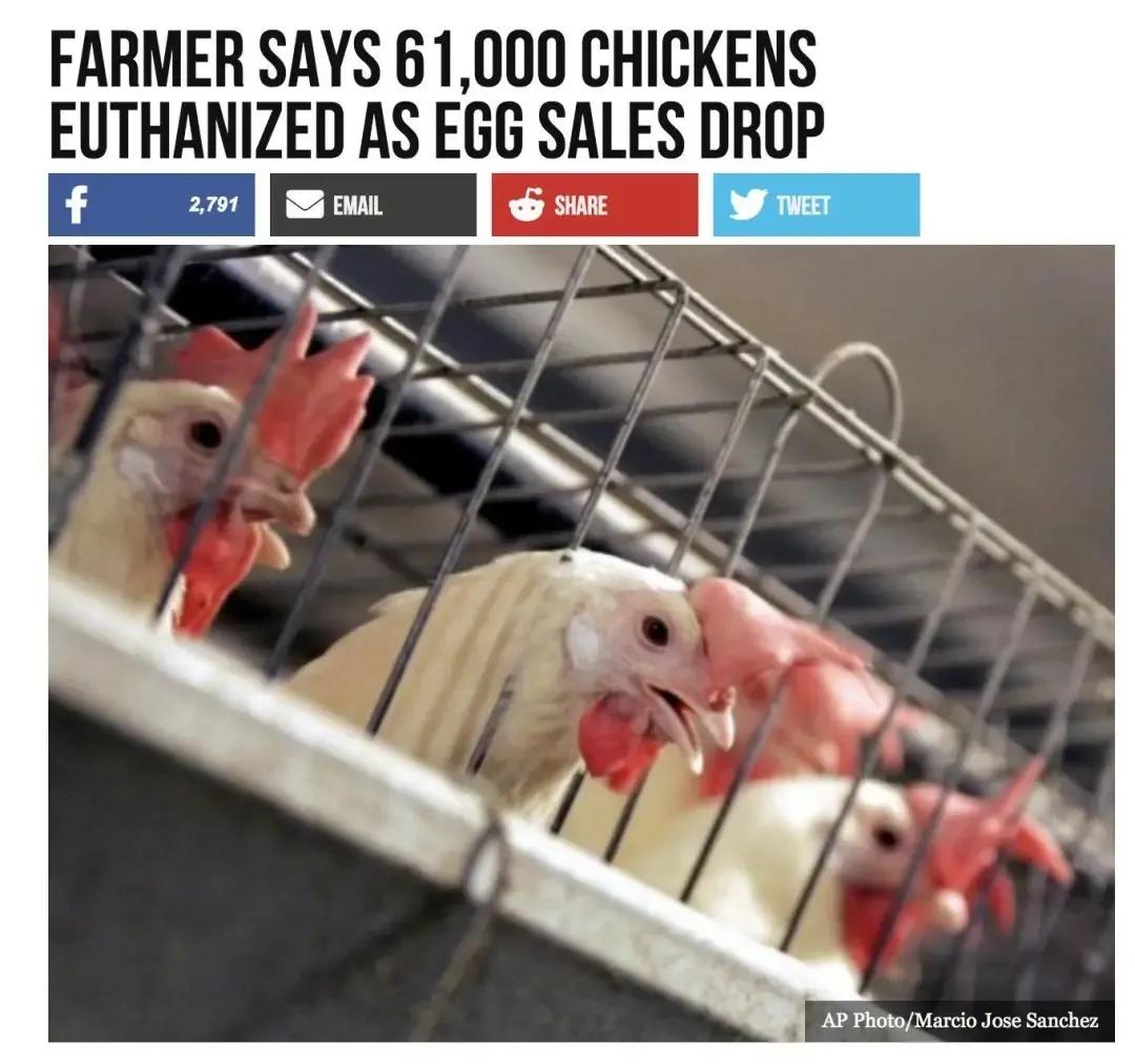 黑天鹅后灰犀牛:倒牛奶到负油价,完美风暴加剧经济滞胀