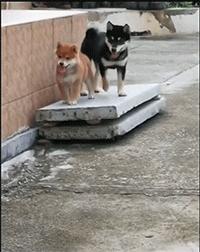 买了个保温杯,结果里面塞满了口红,这是买到假货了?