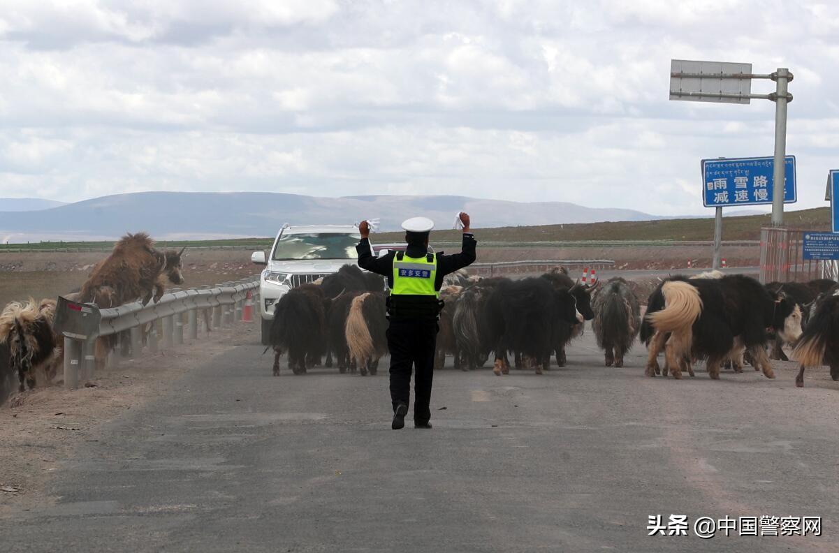 西藏米拉山口海拔5013,唐古拉山海拔5231米