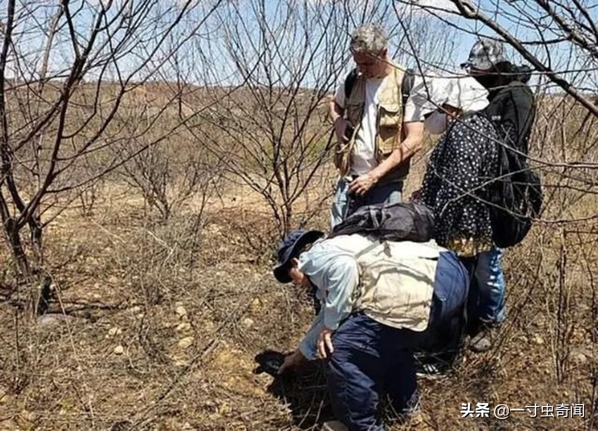 天上掉的陨石价格,天上掉下石头陨石价格