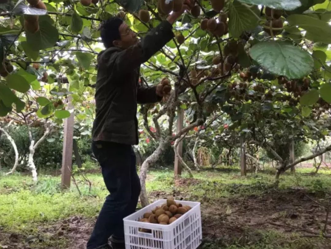 互联网攻陷中老年人群:奶奶抢红包,外婆学美图