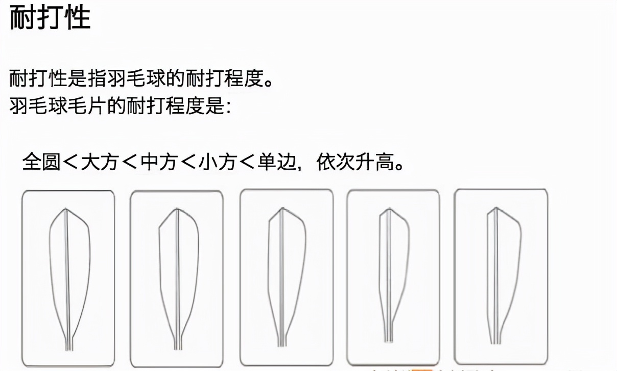 如何选择合适的羽毛球用球,如何选择正确的羽毛球