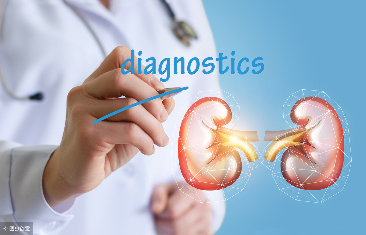 了解肾功能的方法,了解肾脏才能保护肾脏