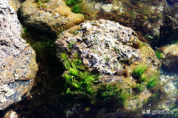 大连滨海路的美景之旅,大连海滨路旅游攻略