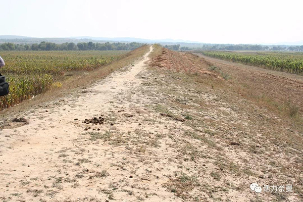 45万奈曼人的名片，太漂亮了！除了中华麦饭石你还知多少？