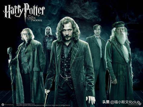 哈利波特中的巫师都能活很久吗,哈利波特最强巫师是什么水平