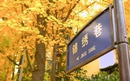 武侯银杏,武侯看银杏最好的地方