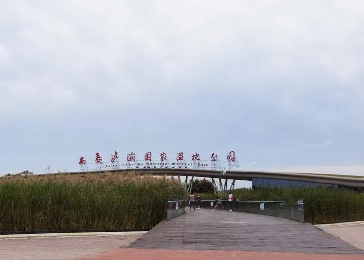 西安浐灞新城5期房价,目前浐灞房价是多少钱一平方